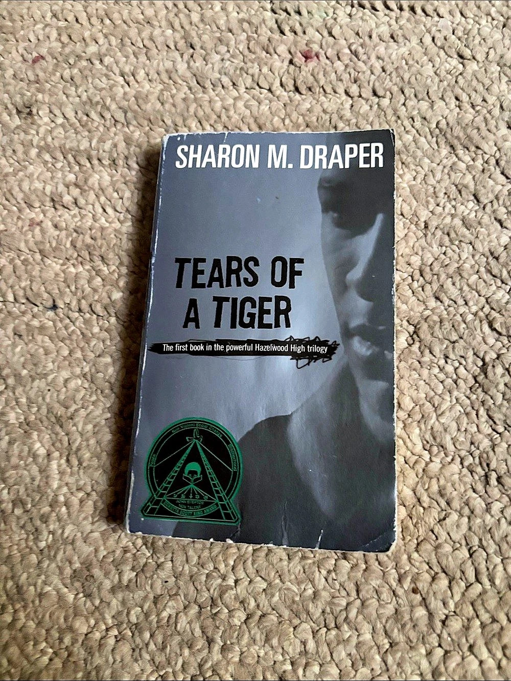 Scholastic Tears of a Tiger Paperback Novel